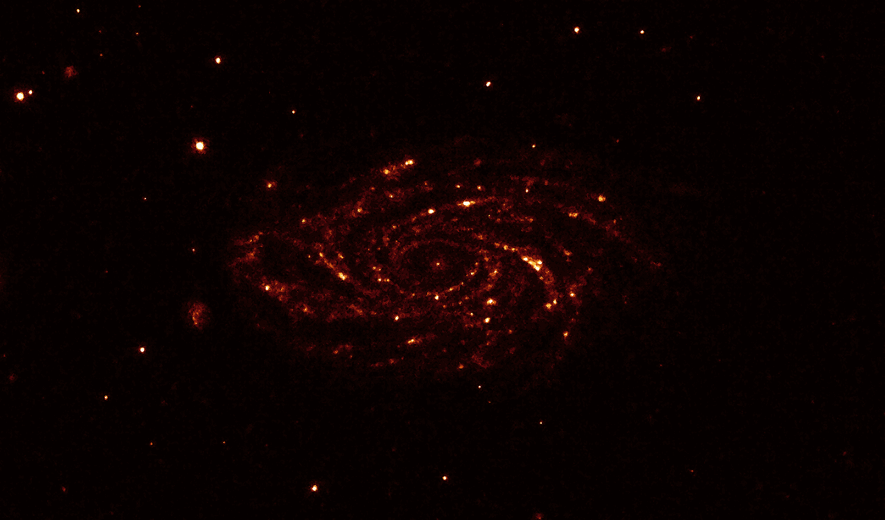 NGC 2336