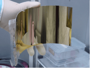 A shaped and gold coated foil segment